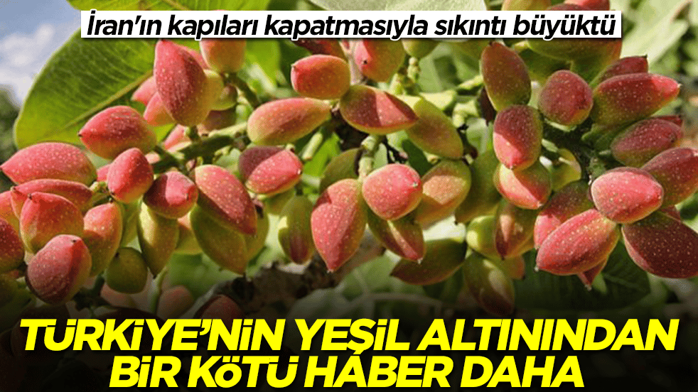 İran'ın kapıları kapatmasıyla sıkıntı büyüktü: Türkiye'nin yeşil altınından şok haber geldi