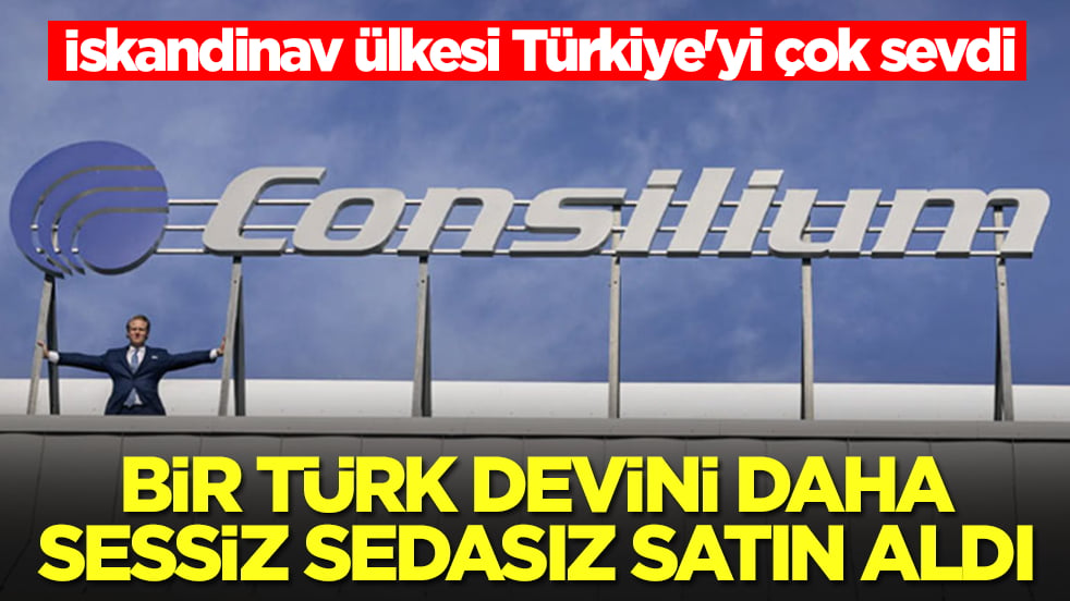 İskandinav ülkesi Türkiye'yi çok sevdi: Bir Türk devini daha sessiz sedasız satın aldılar