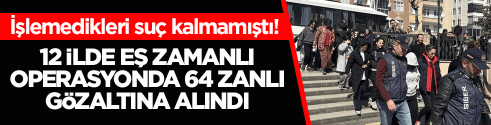 İşlemedikleri suç kalmamıştı! 12 ilde eş zamanlı operasyonda 64 zanlı gözaltına alındı