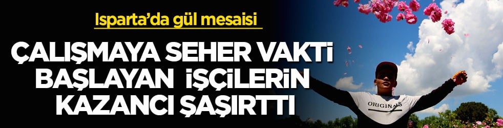 Isparta’da gül mesaisi! Çalışmaya seher vakti başlayan işçilerin kazancı şaşırttı