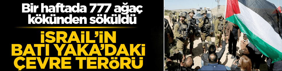 İsrail’in Batı Yaka’daki çevre terörü! Bir haftada 777 ağaç kökünden söküldü