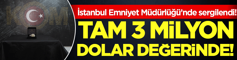 İstanbul Emniyet Müdürlüğü'nde sergilendi: Tam 3 milyon dolar değerinde!