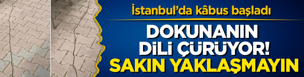 İstanbul’da kâbus başladı! Dokunanın dili çürüyor, sakın yaklaşmayın