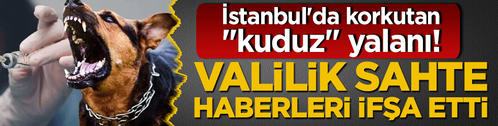İstanbul'da korkutan "kuduz" yalanı! Valilik sahte haberleri ifşa etti: "2007'den beri tek bir vaka bile yok!"