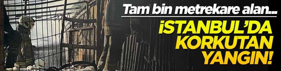 İstanbul'da korkutan yangın! Tam bin metrekare alan...