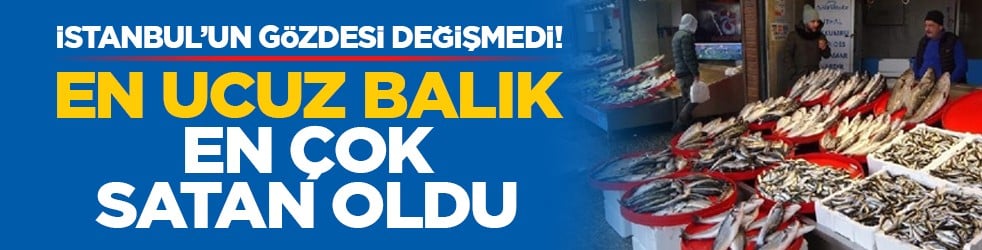 İstanbul’un gözdesi değişmedi! En ucuz balık en çok satan oldu