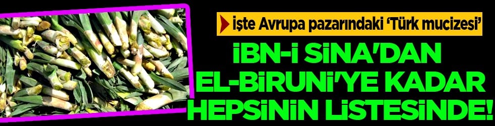 İşte Avrupa pazarındaki 'Türk mucizesi' İbn-i Sina'dan El-Biruni'ye kadar... Avrupa bu bitkinin peşinde!