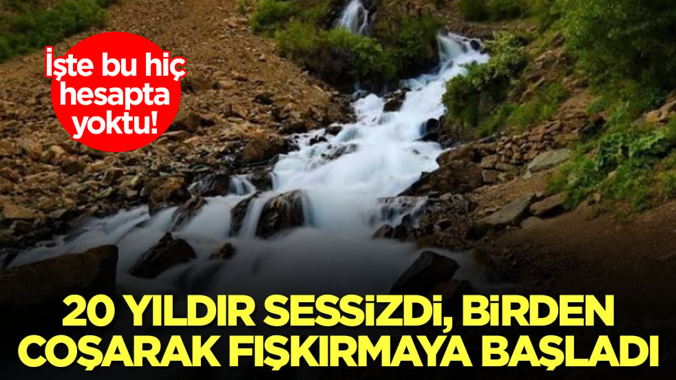 İşte bu hiç hesapta yoktu: 20 yıldır sessizdi, bir anda coşarak fışkırmaya başladı