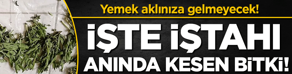 İşte iştahı anında kesen bitki! Yemek aklınıza gelmeyecek!