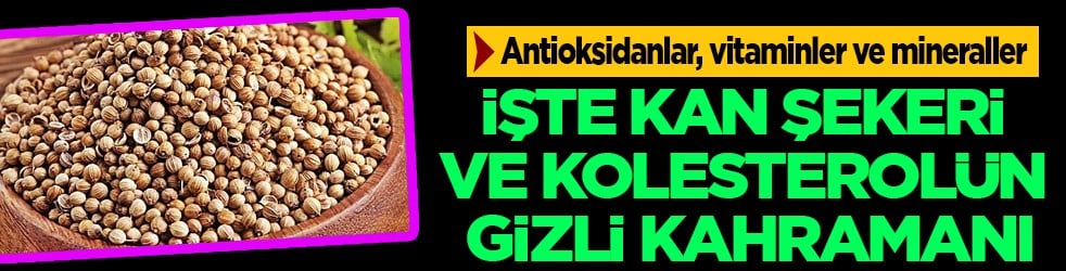 İşte kan şekeri ve kolesterolün gizli kahramanı! Gizli şeker için vitamin deposu... 