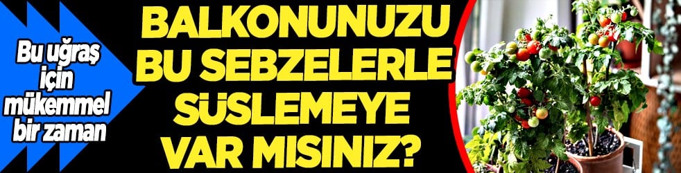 İşte tam zamanı artık... Nisan ayında balkona hangi sebzeler ekilir?