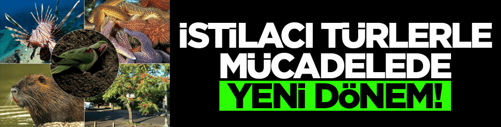 İstilacı türlerle mücadelede yeni dönem!