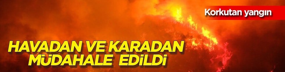 İtalya Adası'nda korkutan yangın: Milli futbolcu Mario Balotelli ve yüzlerce kişi tahliye edildi