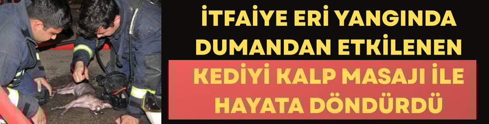 İtfaiye eri yangında dumandan etkilenen kediyi kalp masajı ile hayata döndürdü