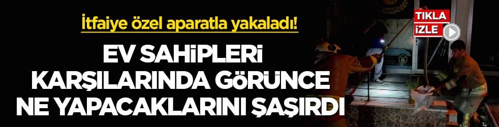 İtfaiye özel aparatla yakaladı! Ev sahipleri karşılarında görünce ne yapacaklarını şaşırdı