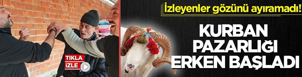 İzleyenler gözünü ayıramadı! Kurban pazarlığı erken başladı