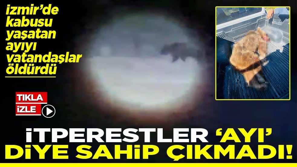 İzmir’de kabusu yaşatan ayıyı vatandaşlar öldürdü İtperestler ayı diye sahip çıkmadı