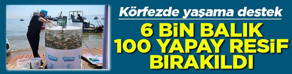 İzmit Körfezi'ne 6 bin balık ve 100 yapay resif bırakıldı