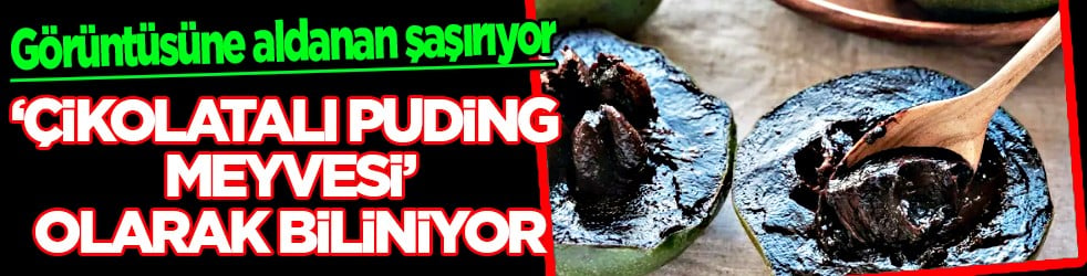 Kabuğu buruşmuş... 'Çikolatalı puding meyvesi' olarak biliniyor: Görüntüsü görünce herkes bakakaldı