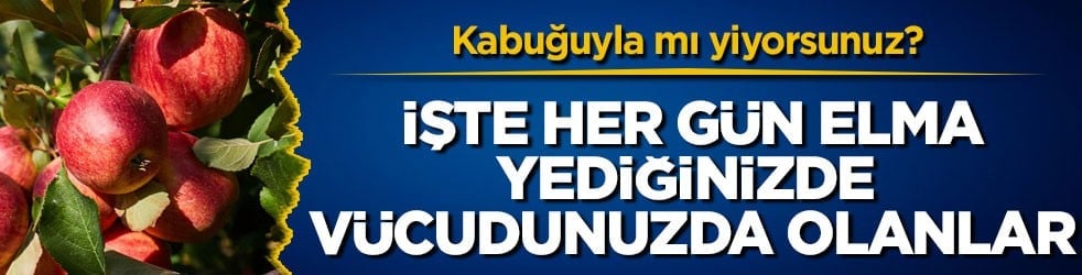 Kabuğuyla mı yiyorsunuz? İşte her gün elma yediğinizde vücudunuzda olanlar