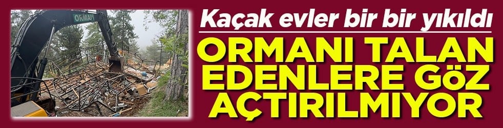 Kaçak evler bir bir yıkıldı Ormanı talan edenlere göz açtırılmıyor