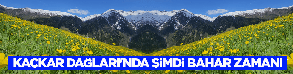 Kaçkar Dağları'nda şimdi bahar zamanı