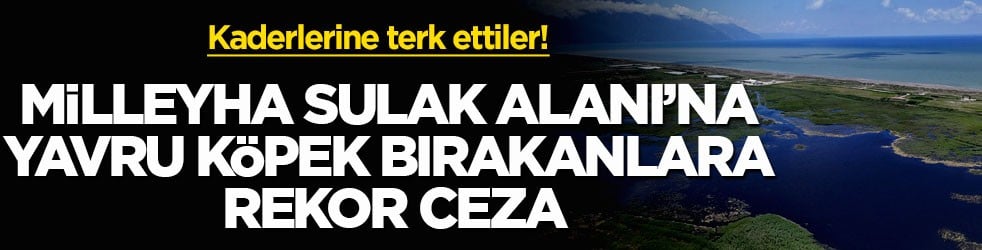 Kaderlerine terk ettiler! Milleyha Sulak Alanı’na yavru köpek bırakanlara rekor ceza