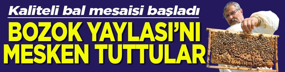 Kaliteli bal mesaisi başladı Bozok Yaylası’nı mesken tuttular