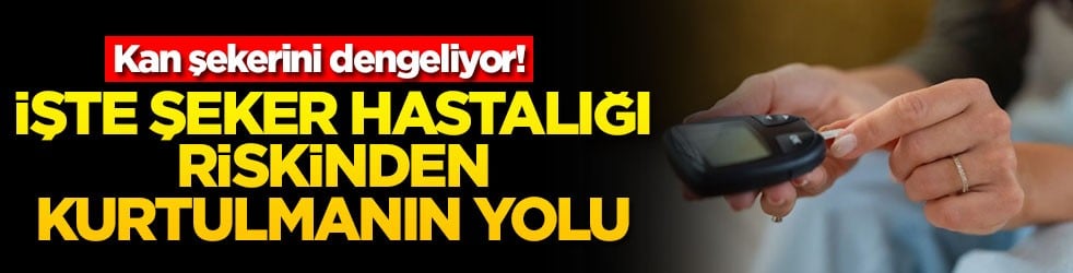  Kan şekerini dengeliyor! İşte şeker hastalığı riskinden kurtulmanın yolu