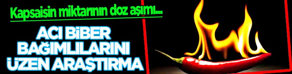 Kapsaisin miktarının doz aşımı... Acı biber bağımlılarını üzen araştırma: O hastalığı tetikliyor
