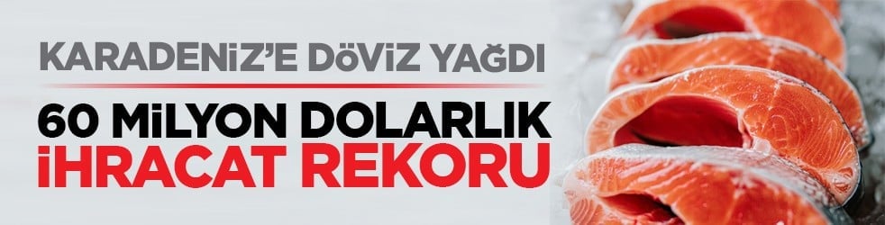 Karadeniz’e döviz yağdı: 60 milyon dolarlık ihracat rekoru