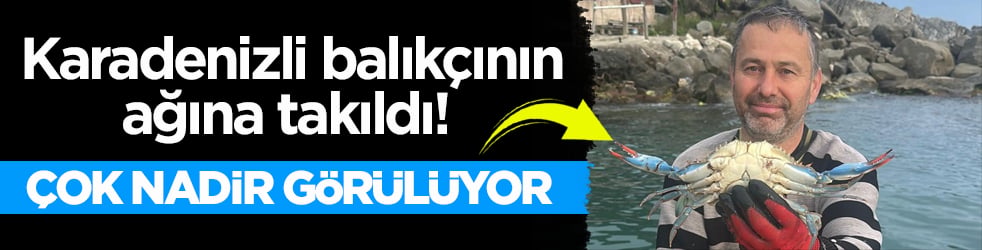 Karadenizli balıkçının ağına takıldı! Çok nadir görülüyor