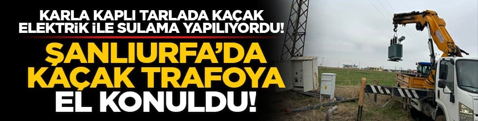 Karla kaplı tarlada kaçak elektrik ile sulama yapılıyordu! Şanlıurfa’da kaçak trafoya el konuldu!