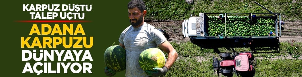 Karpuz düştü, talep uçtu: Adana karpuzu dünyaya açılıyor