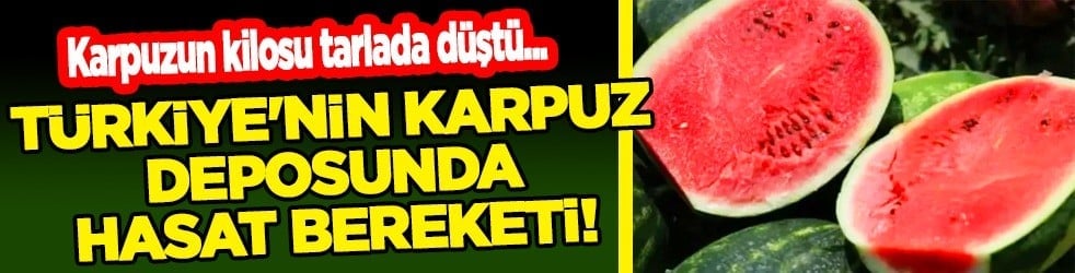 Karpuz yiyenler dilim dilim alıyor ama yeni fiyatı gündeme oturdu: 15 liraya kadar düştü 