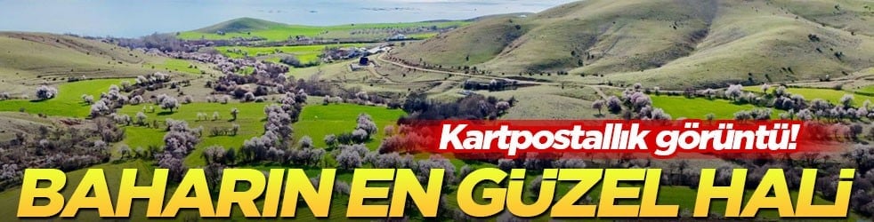 Kartpostallık görüntü! Baharın en güzel hali