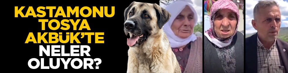 Kastamonu Tosya Akbük’te neler oluyor?