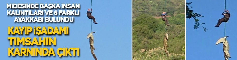 Kayıp işadamını timsah yemiş: Midesinden başka insan kalıntıları ve 6 ayakkabı çıktı