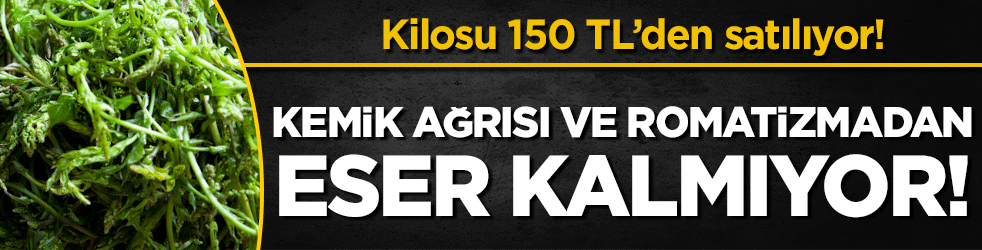 Kemik ağrısı ve romatizmadan eser kalmıyor! Kilosu sadece 150 TL!