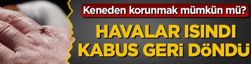 Keneden korunmak mümkün mü? Havalar ısındı kabus geri döndü