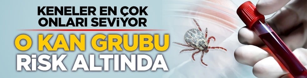 Keneler en çok onları seviyor: O kan grubu risk altında