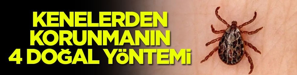 Kenelerden korunmanın 4 doğal yöntemi
