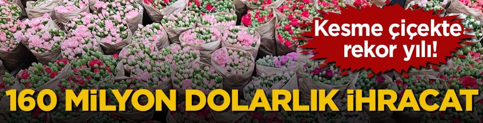 Kesme çiçekte rekor yılı! 160 milyon dolarlık ihracat 