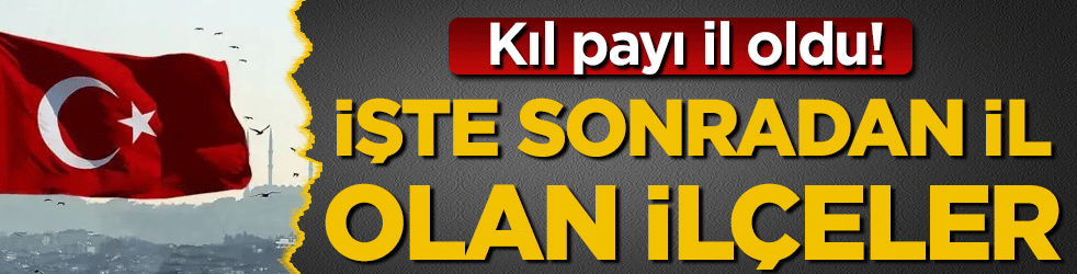 Kıl payı il oldu: İşte Türkiye'de sonradan il olan ilçeler!