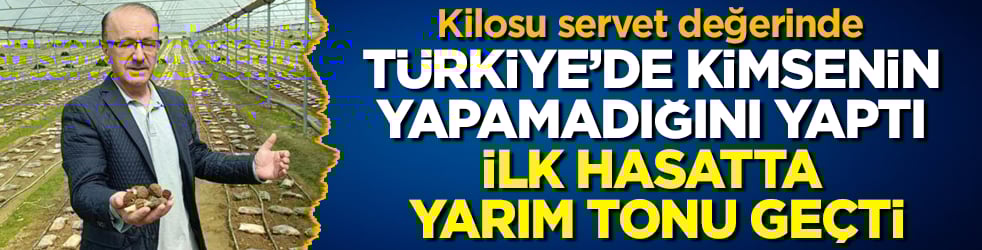 Kilosu servet değerinde! Türkiye’de kimsenin yapamadığını yaptı, ilk hasatta yarım tonu geçti