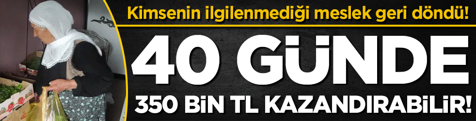 Kimsenin ilgilenmediği meslek geri döndü! Bir aile 40 günde 350 bin lira kazanabilir!