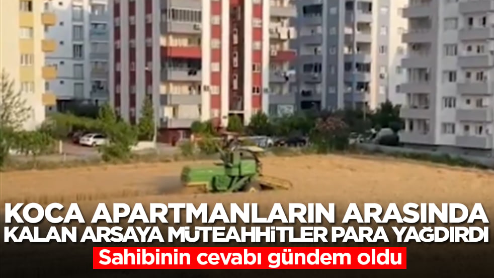 Koca apartmanların arasında kalan arsaya müteahhitler para yağdırdı: Sahibinin cevabı gündem oldu