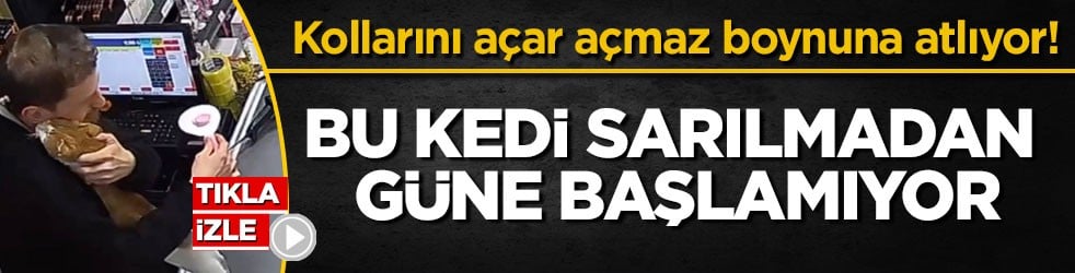 Kollarını açar açmaz boynuna atlıyor! Bu kedi sarılmadan güne başlamıyor