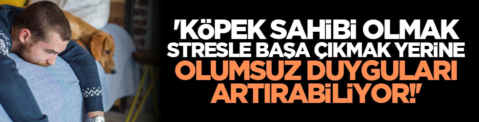 'Köpek sahibi olmak stresle başa çıkmak yerine olumsuz duyguları artırabiliyor!'
