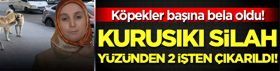 Köpekler başına bela oldu: Kurusıkı silah yüzünden 2 işten çıkarıldı! 